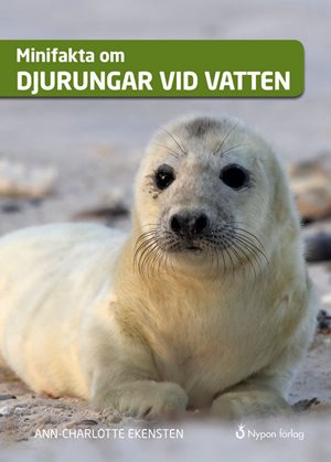 ISBN 9789178253012 Minifakta om djurungar vid vatten