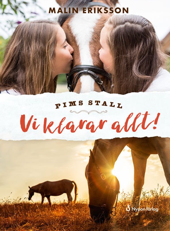 ISBN 9789178253425 Vi klarar allt!
