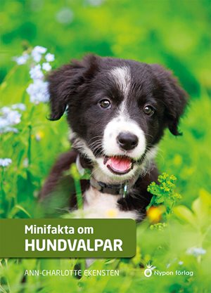 ISBN 9789178250776 Minifakta om hundvalpar