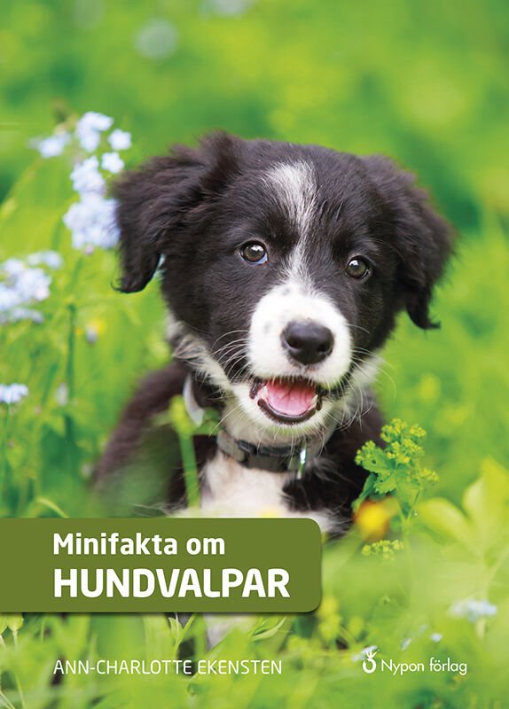 ISBN 9789178251643 Minifakta om hundvalpar