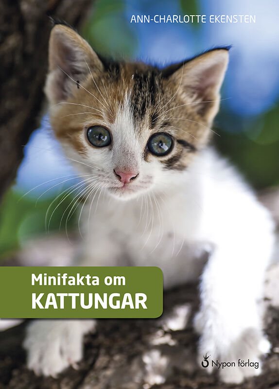 ISBN 9789178251650 Minifakta om kattungar
