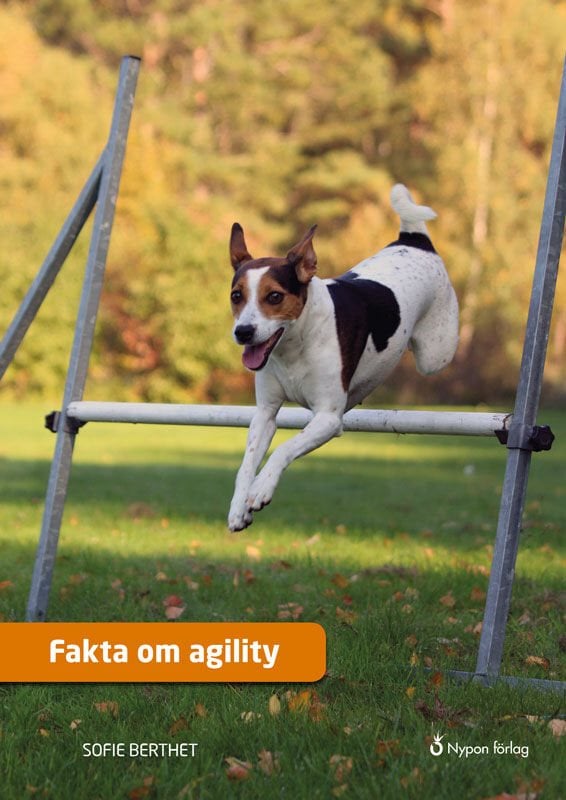 ISBN 9789178253609 Fakta om agility