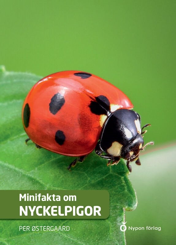 ISBN 9789178254514 Minifakta om nyckelpigor
