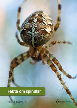 ISBN 9789179873745 Fakta om spindlar