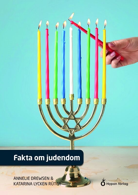 ISBN 9789179876579 Fakta om judendom