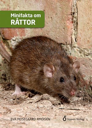 ISBN 9789179877415 Minifakta om råttor