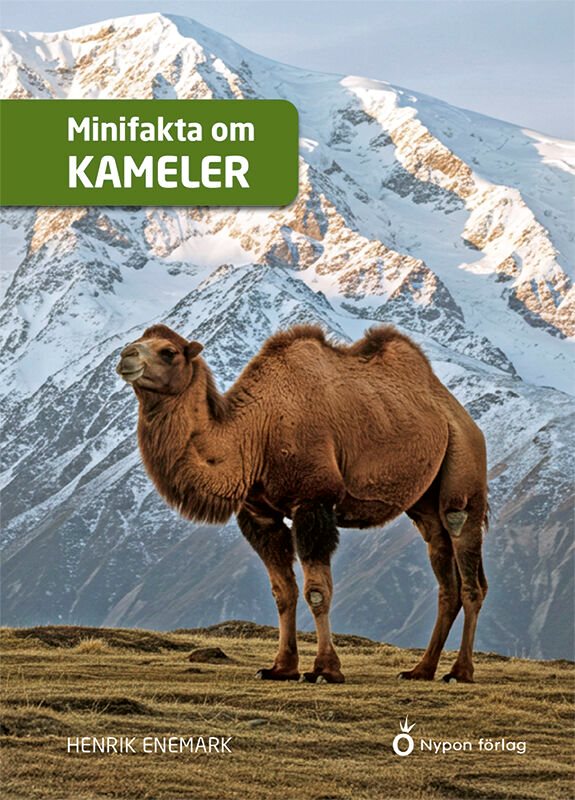 ISBN 9789180774222 Minifakta om kameler