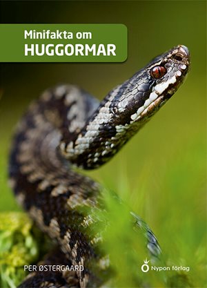 ISBN 9789180777162 Minifakta om huggormar