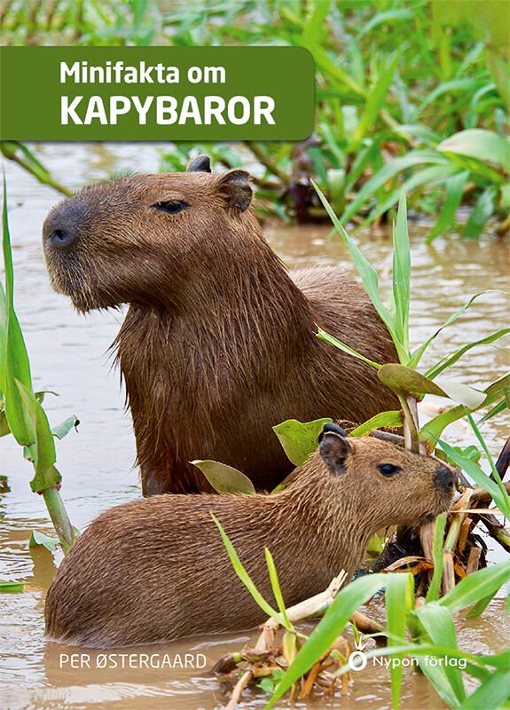 ISBN 9789180780858 Minifakta om kapybaror