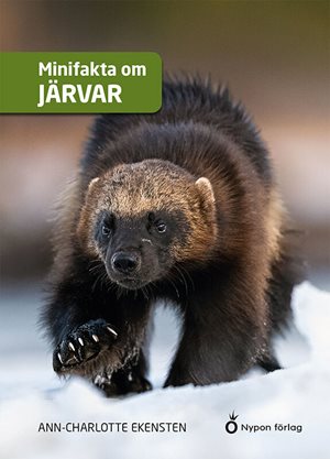 ISBN 9789180781480 Minifakta om järvar