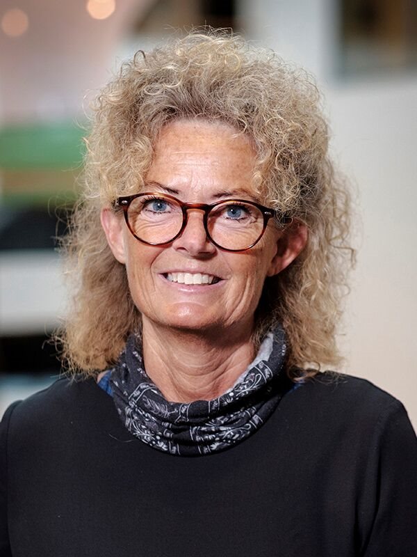 Ann-Christine Vallberg Roth Kapitelförfattare