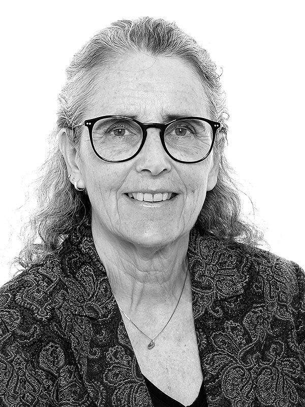 Ann Skansholm Författare