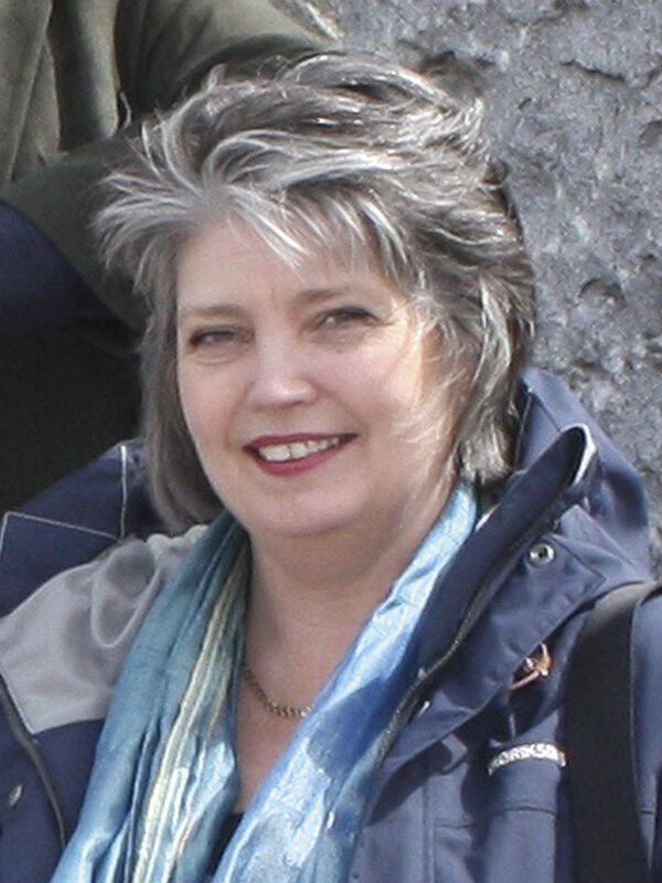 Anne Landin Kapitelförfattare