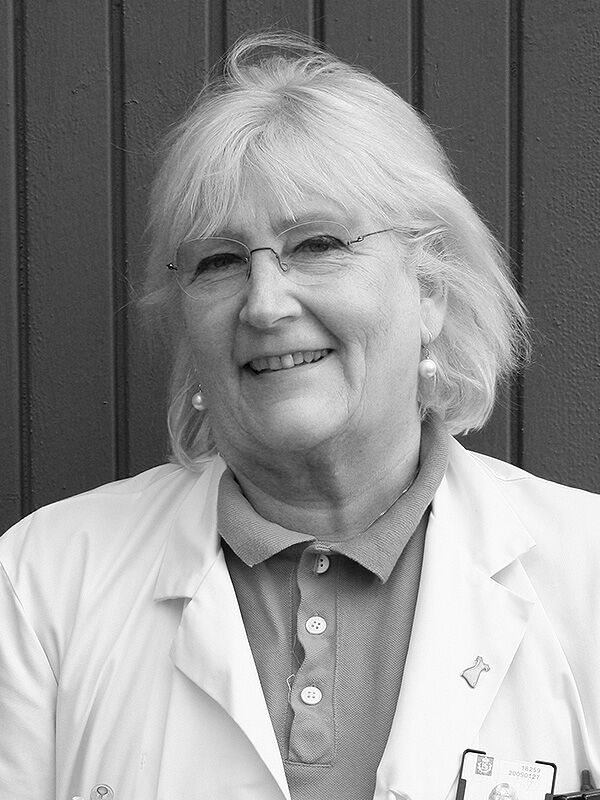 Karin Manhem Kapitelförfattare