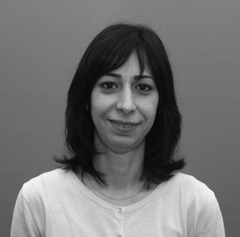 Mojgan Padyab Kapitelförfattare