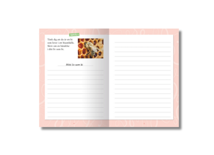 Utdrag ur Krumelurkul årskurs 3 skrivbok.