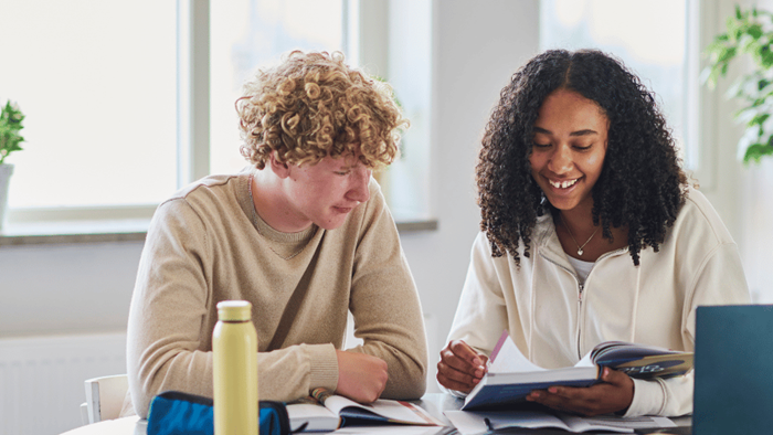 Ungdomar läser i läromedel stadie gymnasium och vuxenutbildning